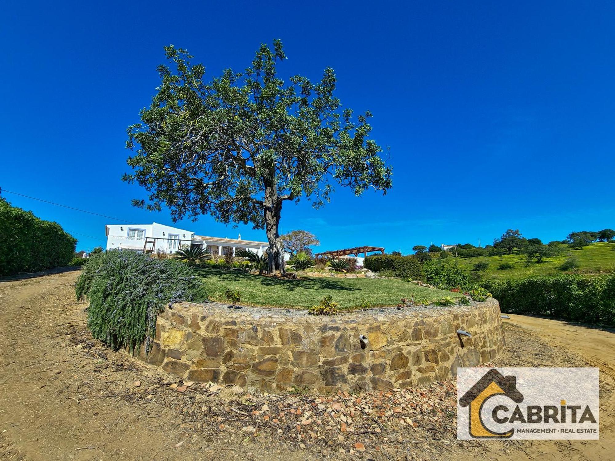 Quinta Dos Medronheiros Villa Altura Kültér fotó